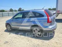 2010 Honda CR-V photo