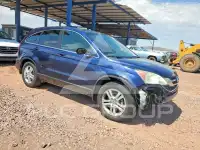 2010 Honda CR-V photo
