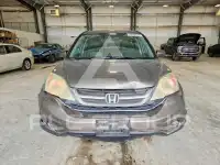 2010 Honda CR-V photo