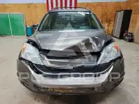 2010 Honda CR-V photo