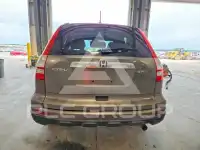 2010 Honda CR-V photo