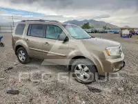 2010 Honda PILOT photo