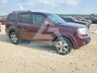 2010 Honda PILOT photo