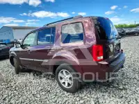 2010 Honda PILOT фото