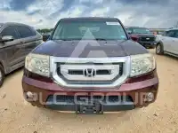 2010 Honda PILOT фото