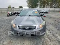 2010 Honda Accord фото