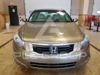 2010 Honda Accord photo
