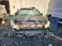 2010 Honda Accord фото