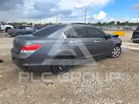 2010 Honda Accord фото