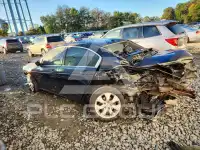 2010 Honda Accord фото