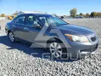 2010 Honda Accord фото