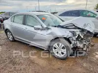 2010 Honda Accord фото