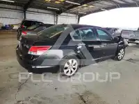 2010 Honda Accord photo