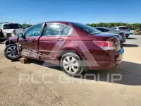 2010 Honda Accord фото