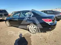 2010 Honda Accord фото