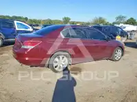 2010 Honda Accord фото