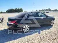 2010 Honda Accord фото