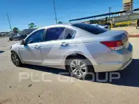 2010 Honda Accord photo