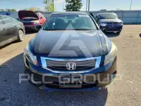 2010 Honda Accord фото