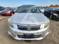 2010 Honda Accord фото
