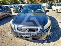 2010 Honda Accord фото