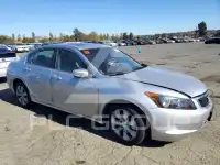 2010 Honda Accord photo