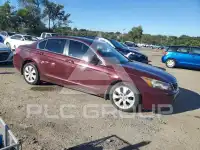 2010 Honda Accord фото
