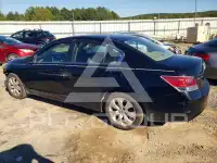 2010 Honda Accord photo