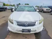 2010 Honda Accord photo