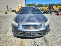 2010 Honda Accord photo