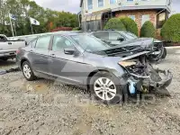 2010 Honda Accord photo