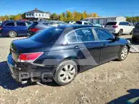 2010 Honda Accord фото