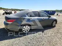 2010 Honda Accord photo