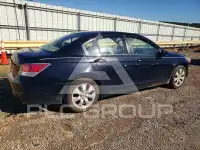 2010 Honda Accord photo