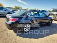 2010 Honda Accord фото