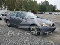 2010 Honda Accord фото