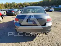 2010 Honda Accord фото