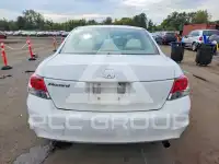 2010 Honda Accord photo