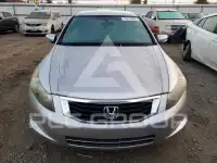 2010 Honda Accord фото