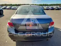 2010 Honda Accord фото