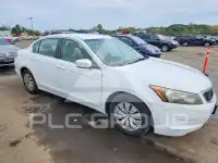 2010 Honda Accord photo