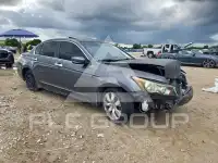 2010 Honda Accord фото