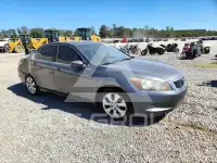 2010 Honda Accord photo