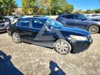 2010 Honda Accord фото