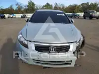 2010 Honda Accord photo