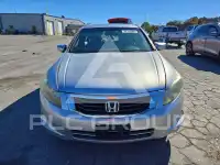 2010 Honda Accord фото