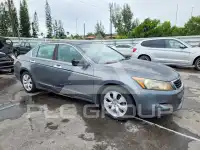 2010 Honda Accord photo
