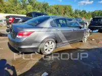 2010 Honda Accord фото