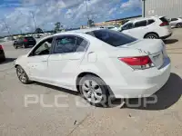 2010 Honda Accord фото