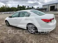 2010 Honda Accord фото